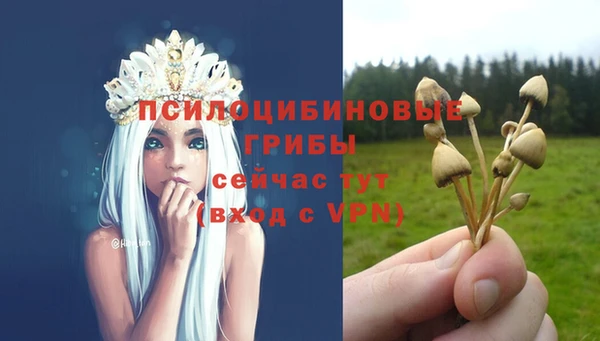 дживик Бородино