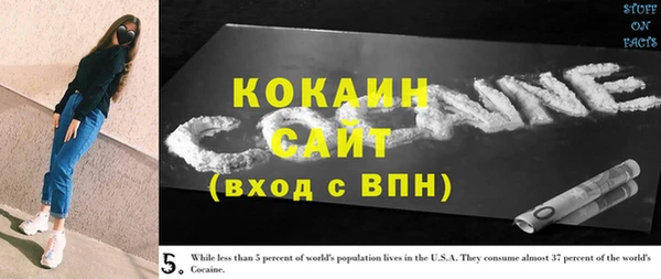 дживик Бородино