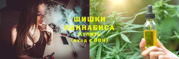 герыч Бронницы