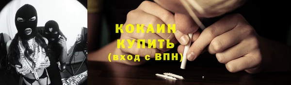 дживик Бородино
