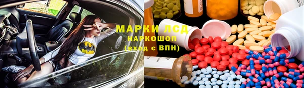 дживик Бородино