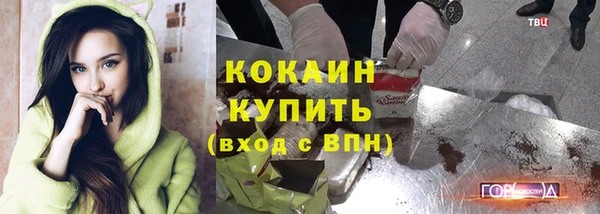 дживик Бородино