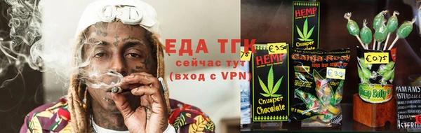 дживик Бородино